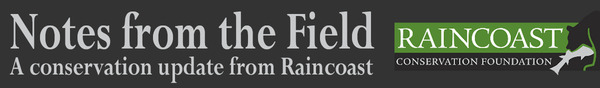 NFTF Top Banner