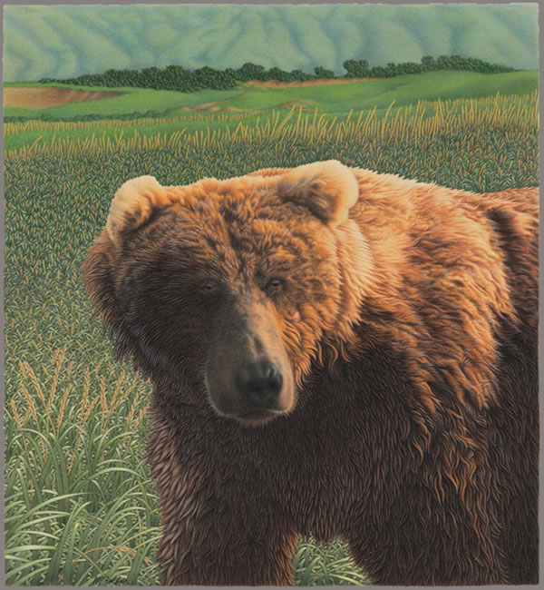 Grandfather Bear - Michael J Felber Grandfather Bear - Michael J Felber